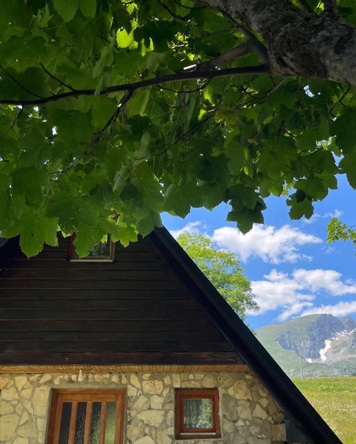 Apartman A&A Zabljak  Bagian luar foto