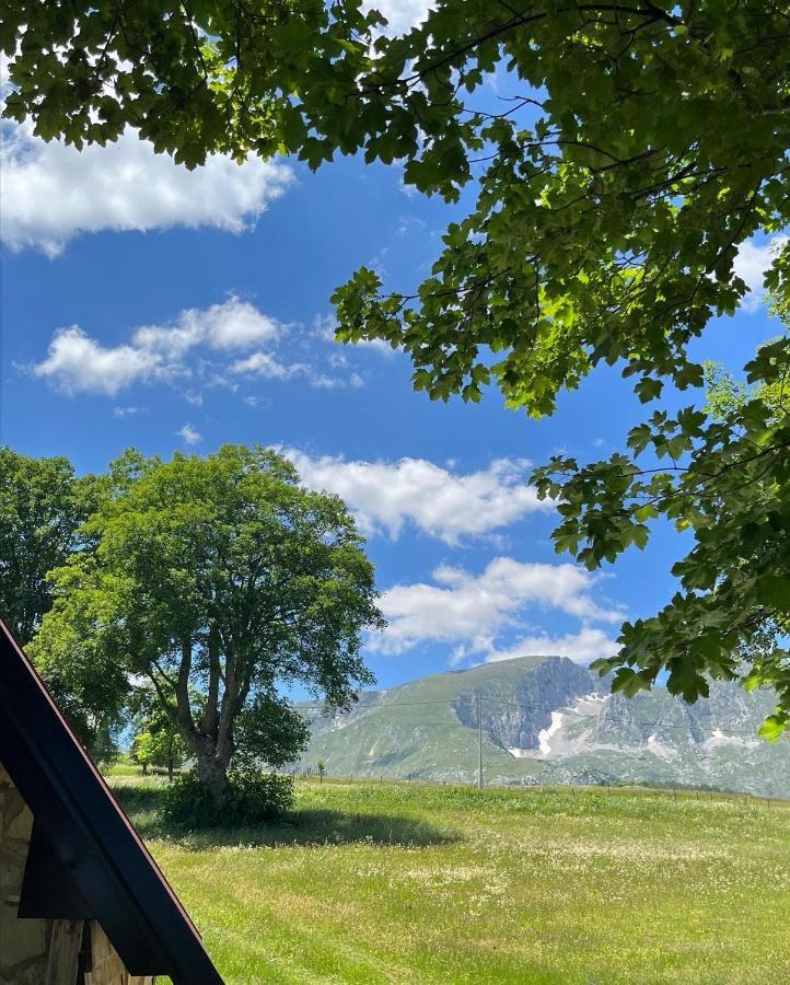Apartman A&A Zabljak  Bagian luar foto